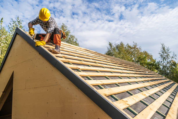 Best Roof Gutter Cleaning  in Versailles, PA